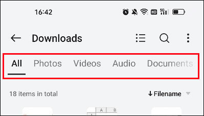 view downloaded files by the type
