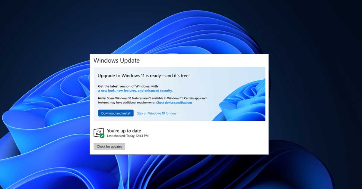 Windows 11 Update Came and Then Disappeared? 4 Solutions!