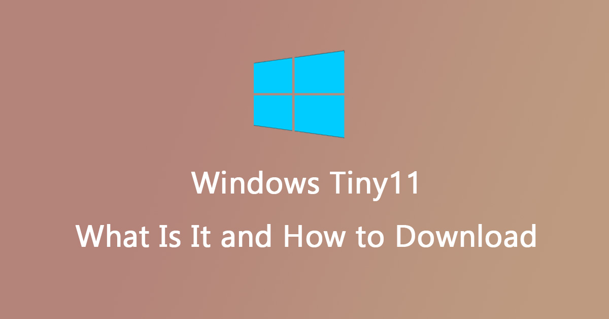 Windows Tiny11: How to Download It to Lightweight Your OS