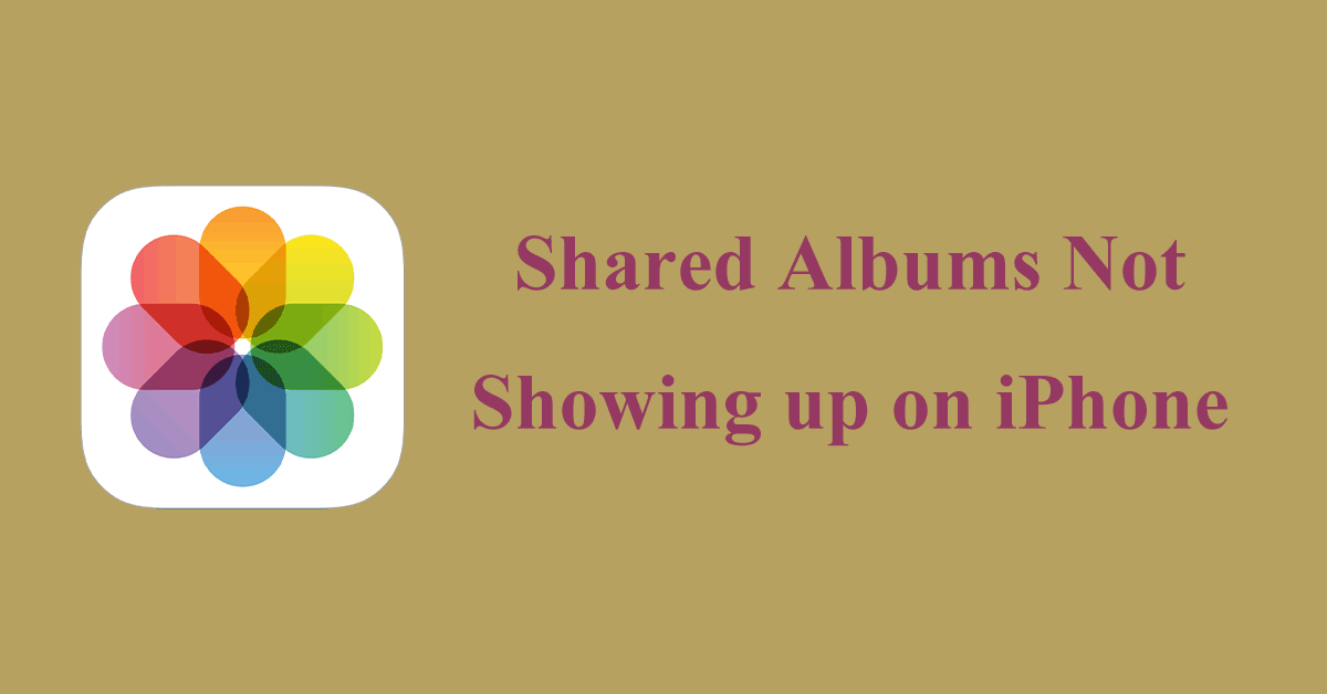 Best 8 Methods for Shared Albums Not Showing Up on iPhone